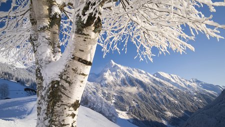 Hiking on your winter holiday in Zillertal Hiking on your winter holiday in Zillertal