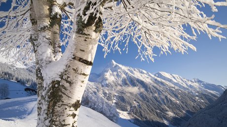 The most beautiful pictures from Mayrhofen The most beautiful pictures from Mayrhofen