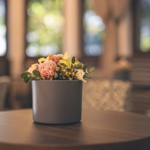 Sport & Spa Hotel Strass: Downloads Sport & Spa Hotel Strass: Downloads