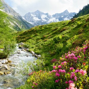 Mayrhofen: hotel wanted? Mayrhofen: hotel wanted?
