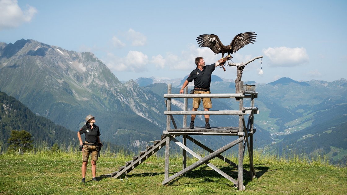 Zillertal: attractions Zillertal: attractions