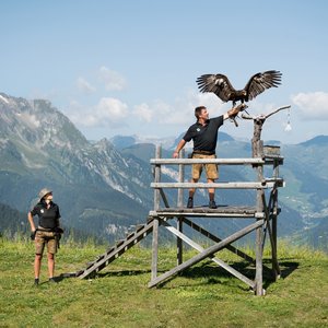 Zillertal: attractions Zillertal: attractions